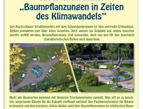 Baumpflanzungen in Zeiten des Klimawandels